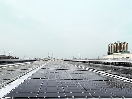Jinhao Rooftop Photovoltaic Power Station